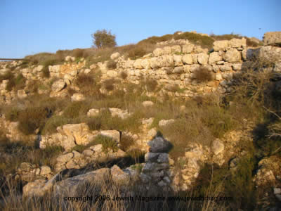 tel shilo archeology in Israel