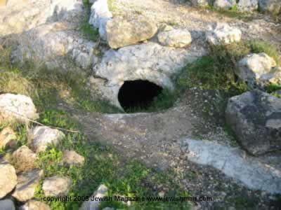 tel shilo archeology in Israel