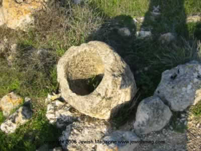 tel shilo archeology in Israel
