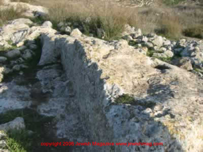 tel shilo archeology in Israel