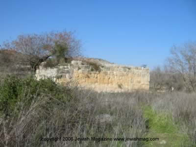 tel shilo archeology in Israel