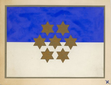 Rejected Proposed Israeli Flag