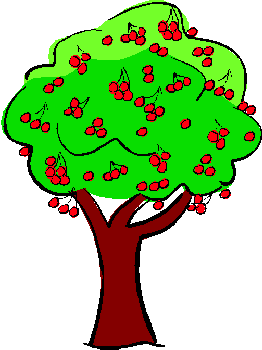 tree for tu b'shvat