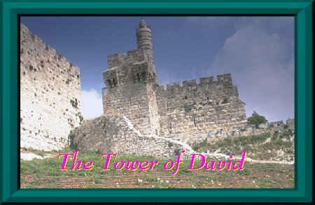 Archaeology in Israel, Jerusalem: The Citadel of David