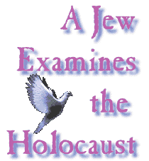  A Jew Examines the Holocaust