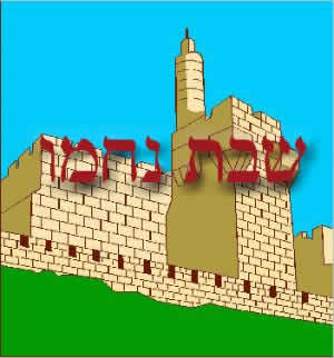Shabbat Nachamu is the Shabbat of Comfort
