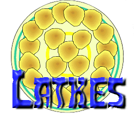 Latkes: Potato Pancakes for Channuka