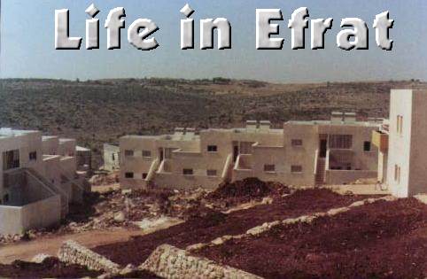 LIfe in Efrat, Israel