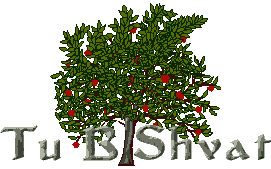 Tu B'Shvat the Holiday of Trees