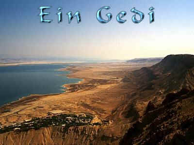 Ein Gedi