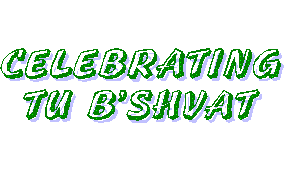 Celebrating the Jewish holiday of Tu B'Shvat