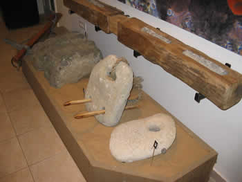 Old Anchors Found in Sea at Yavneh Yam