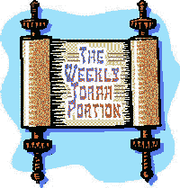The Weekly Torah Portion